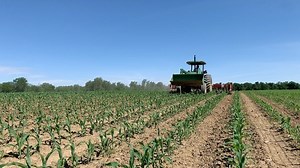 Today we went old school and cultivated corn. We all have a bet on this as far as how this corn will turn out compared to the rest. | Farmhand Mike