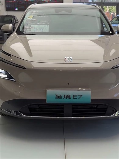 Buick Electra E7: China Import & Export with Authorized Brands