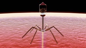 Transhumanists believe our bodies will soon be home to nanomachines so that humans can live much longer, healthier lives. | Ancient Aliens: Out of This World Moments