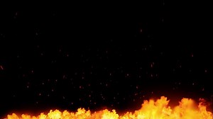 Fire, Flames, Burn. Free Stock Video