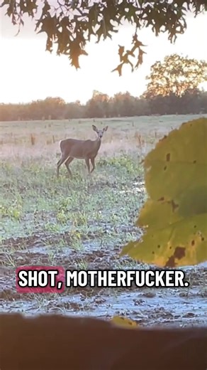 Understanding Deer Season Strategies for Hunters