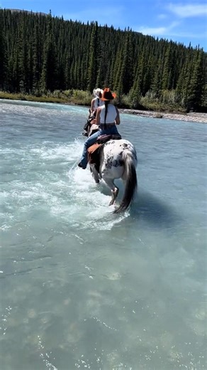 79K views · 994 reactions | Horse Riding in Canadian Rockies  @sagecowgirl91 / IG | Best Destinations To Travel | Facebook