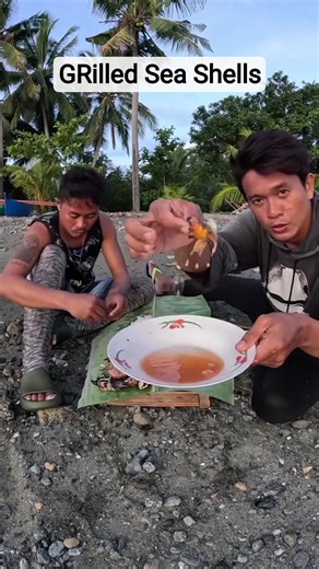 Grilling & Eating Fresh Sea Shells! 🐚