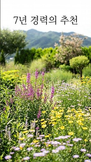 Recommended Flowers for Drought, Heatwaves, and Summer Gardens (More information in the full video)