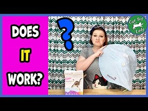 SmartyKat Hot Pursuit toy Review, Bought At Target