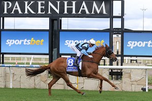 Why Nic Ashman can’t go past Smokin’ Romans in the Pakenham Cup