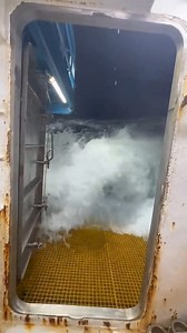 Deadliest Seas short video #deadliestseas | Deadliest Sea's