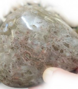 Why these pink Petoskey stones are so rare