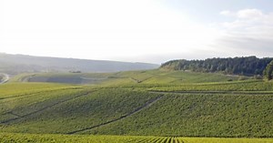 Tout savoir sur le vin de Bourgogne