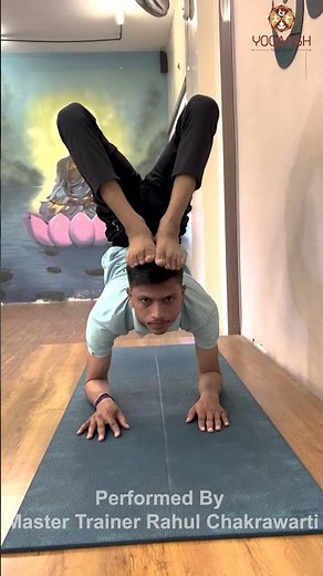 Vrischikasana (Scorpion Pose) कैसे करें | Advanced Yoga Tutorial with Master Trainer Rahul #shorts