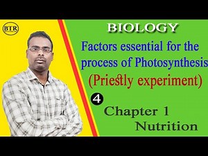 Factors Essential for the process of Photosynthesis|Chapter1 Nutrition|Class10 Biology|life process