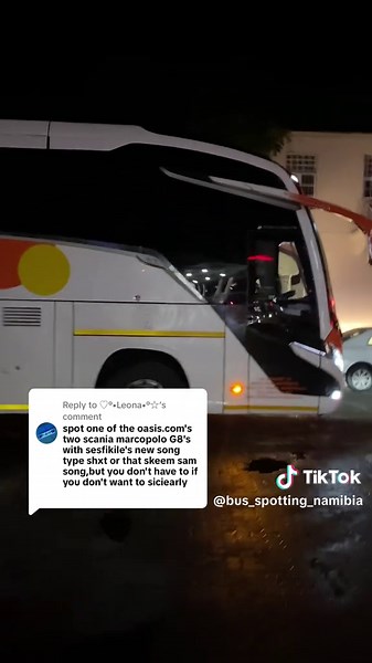 Exploring Bus Spotting Adventures in Namibia