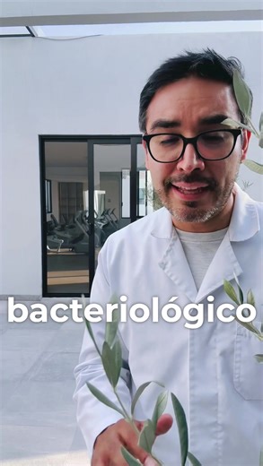Visita la página oficial del Diplomado en Bacteriología Clínica🦠🥼, donde encontrarás una guía táctica de alto nivel con temas que solo los verdaderos especialistas logran dominar: 🖊️ Inscripciones: del 28 de octubre al 03 de diciembre del 2025. 📅 Inicio: 24 de noviembre del 2025. Diagnóstico bacteriológico integral… Antibiogramas y resistencia antimicrobiana… ¡y más! 🤩 Cada módulo es una fase de entrenamiento diseñada para convertirte en un analista con criterio clínico y precisión táctica.