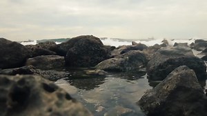 Watch Essential Oils Uses and Benefits on Amazon Live