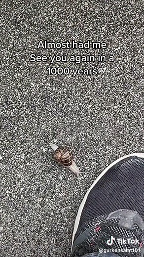 Nice try tho #fyp #immortalsnail