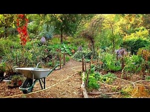 "Permaculture Gardening: The Ultimate Guide to Sustainable Living!"