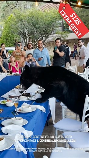 6 Priciest Party Fails 💸😂 | FailArmy