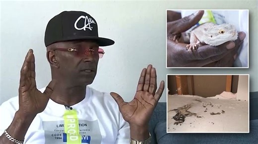 Pet owner claims his bearded dragon saved him from fire: 'My dragon woke me up'