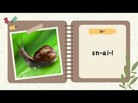 ✨Phonics Level 4 – Lesson 13 (Dec 1/June 1) : Revision “st” & “sn” ✨拼音 第4級 – 第13課：雙字母組合 “st” 和 “sn”✨