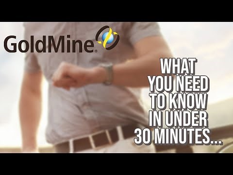 GoldMine CRM Review in 30 minutes