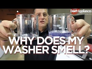 Why Does My Washer Smell? Causes of Odors In Your Washer