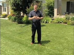 Grub Control 101 | Bayer Advanced