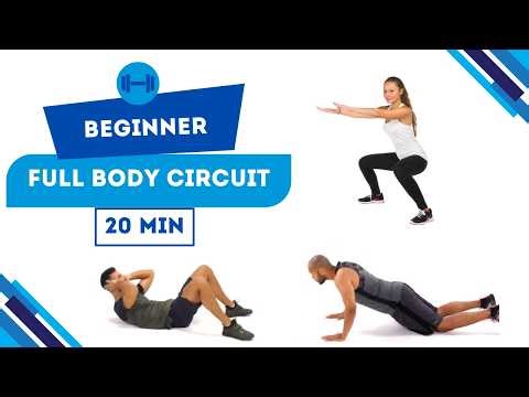 20 Minute Beginner Full Body Circuit (No Equipment Strength Workout)