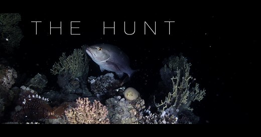 The Hunt (4K)