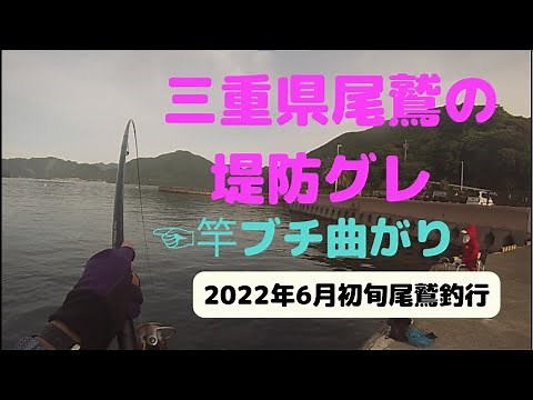 尾鷲の噂の堤防で良型グレを狙う～JunさんSanaさん釣りバカ日誌～