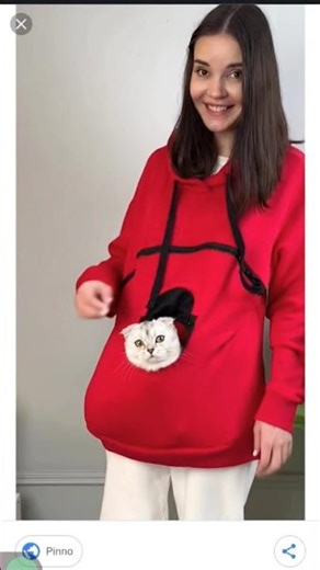 #Anya ...sonyakisa 😂#cat #cats