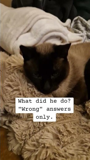 The wronger the betterer