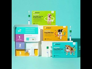 Embark dog DNA test kits