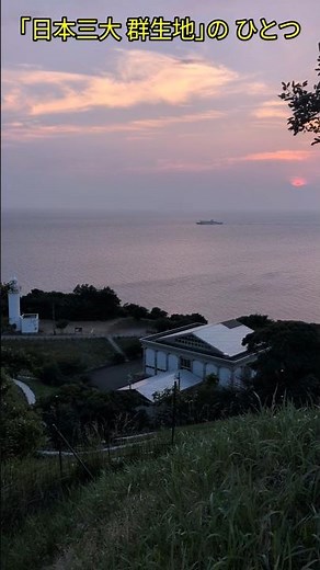 ｢越前水仙ランド｣｢越前岬灯台｣ [越前町 越前海岸]
