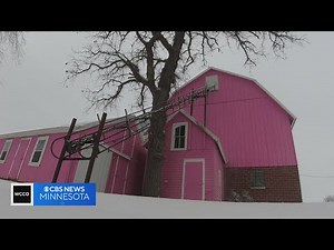 Finding Minnesota: McLeod County's farm is pretty in pink
