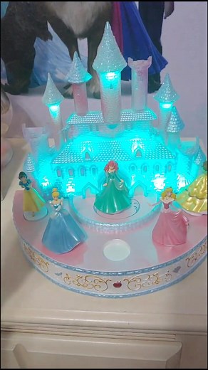 Disney Princess Music Box Collection