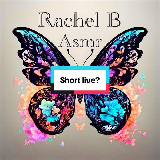 Asmr live #asmr #asmrsounds #asmrvideo #fypシ | asmr