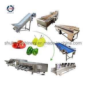 [Hot Item] Automatic Fruit Apple Lemon Orange Washing Sorting Machine with Best Price