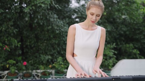 Donner Piano Keyboard 88 Keys, Velocity-Sensitive Digital Keyboard Piano for Beginner, Portable Electric Piano with Stand, Sustain Pedal, Black, DEP-1 - Walmart.com