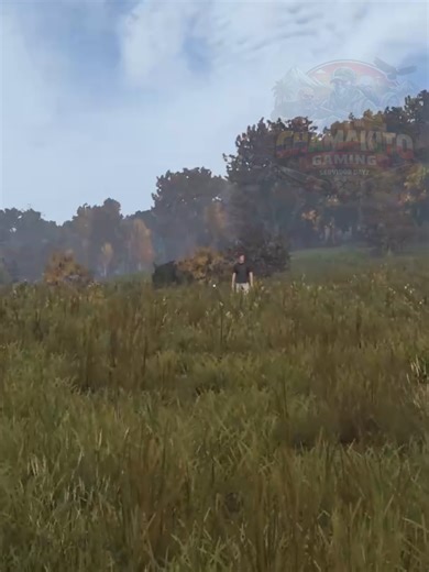 Join the CHAMAKITOGAMING.CL DAYZ Community