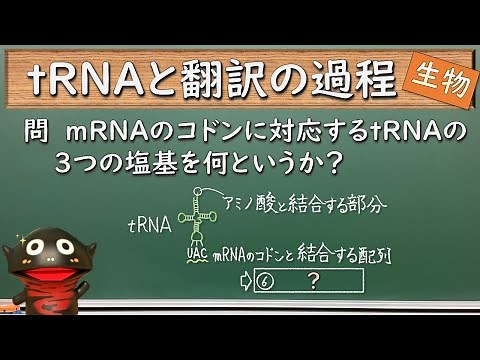 tRNA and the translation process [112 Biology]