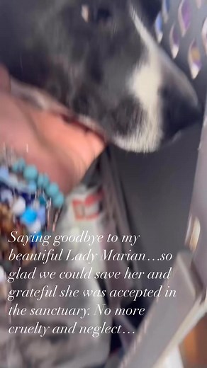 53 reactions | Jessica Princess Pea on Reels | Facebook