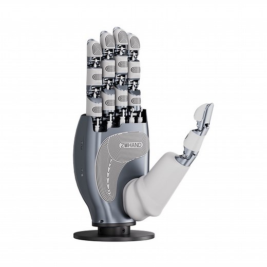 [Hot Item] 2025 Zwhand Humanoid Robotic Bionic Hand Strong Grip Integrated Force Sensor Dexterous Hand for Humanoid Robot