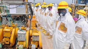 Japan government in Fukushima clean-up