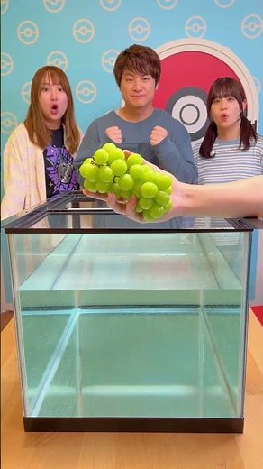 Will it float? Or not? Fruit Challenge 😆 #shorts