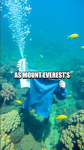The Astonishing World of Extreme Ironing