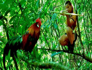 Survival Alone - Crossbow Shooting Skills Hunting Wild Chickens - Farm Building - Survival Instinct -Phoenix | San Bushcraft