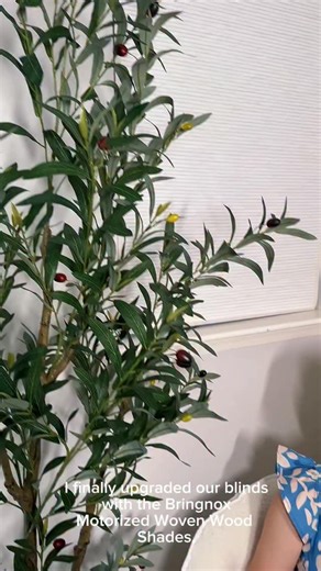 Gizem Hacıefendioğlu | Transform your space with the perfect mix of style and smart living 🏡✨ These motorized woven wood shades from Bringnox make it so easy to... | Instagram