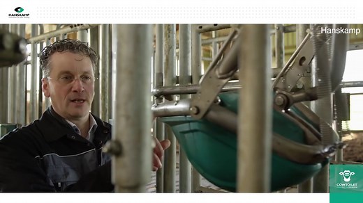 Netherlands cow toilet set to reduce ammonia emissions