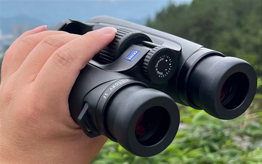 蔡斯SF8x42简单评