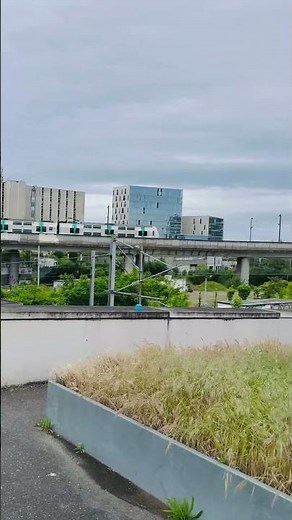 Paris nanterre university #travel #viral #horse